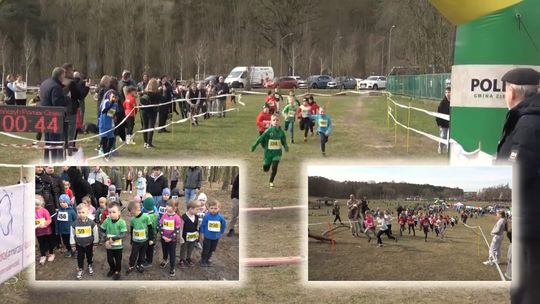 37. Mistrzostwa Polic w biegach przełajowych