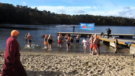 Jedni zamykają sezon, inni dopiero go otwierają. Morsy rozpoczynają wodne kąpiele