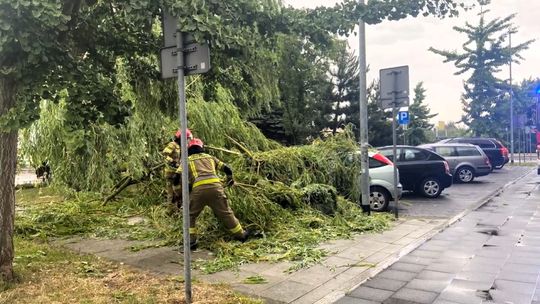 Połamane drzewa i nieprzejezdne drogi. Strażacy mieli sporo pracy