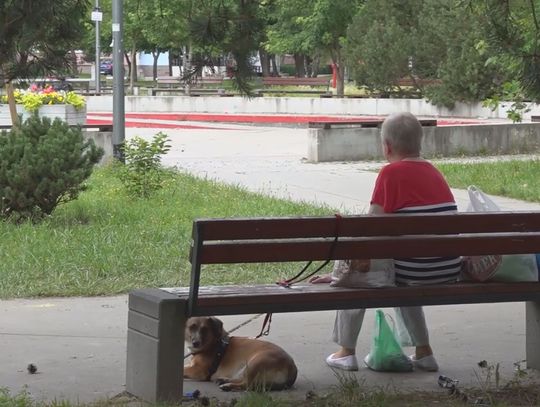 10 tysięcy złotych za podjęcie pracy w innym mieście. Czym jest bon na zasiedlenie?