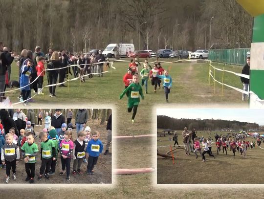 37. Mistrzostwa Polic w biegach przełajowych 37. Mistrzostwa Polic w biegach przełajowych