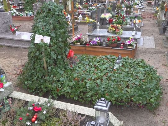 Chcesz pomóc? Zostań w domu. Gromadzenie się na cmentarzu to też ryzyko. 