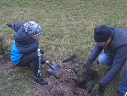 Dzieci posadziły drzewa i nadały im imiona