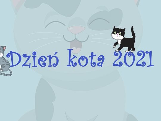 Dzień Kota 2021