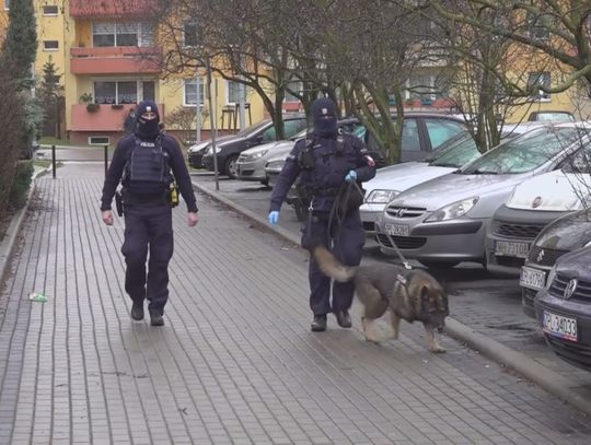 Emerytura dla psów i koni służb mundurowych