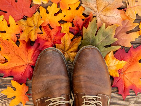 Jak przygotować Dmuchawy do liści na sezon jesienny