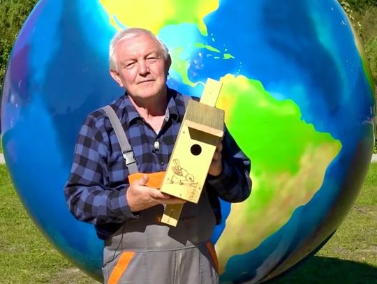 JAK SAMODZIELNIE ZBUDOWAĆ BUDKĘ DLA PTAKÓW?