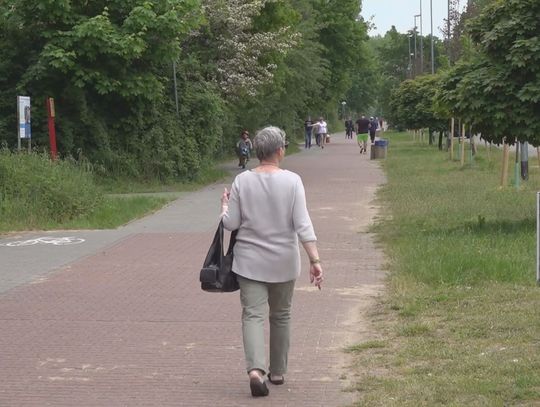 Komary dają się we znaki coraz bardziej. Kiedy akcja odkomarzania?