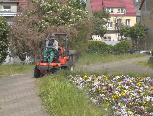 Kosić czy nie kosić trawników?