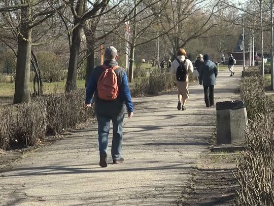 Na skwerze Jana Pawła II przycięto żywopłoty. Czy to zwiększy bezpieczeństwo w tym miejscu?