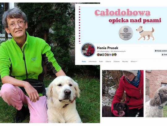 Na smyczy zaufania. Oto policka "Petsitter"