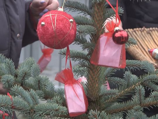 Niezwykła choinka ponownie stanęła w Niekłończycy. Bombki znów rozeszły się jak ciepłe bułeczki