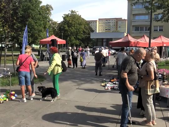 Pchli Targ Rady Osiedla nr 6 powrócił po latach przerwy