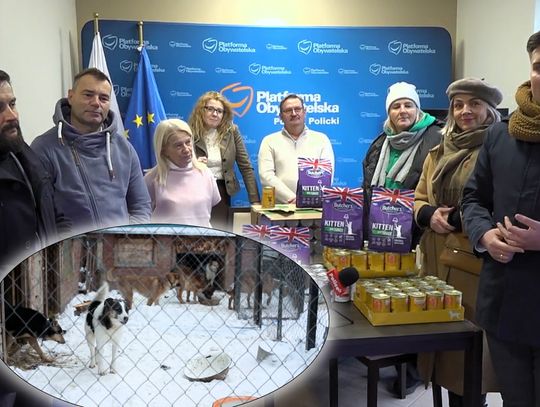 Pełna miska zamiast petard. Policcy politycy włączyli się w akcję pomocy zwierzętom