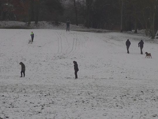 Pierwszy śnieg w Policach