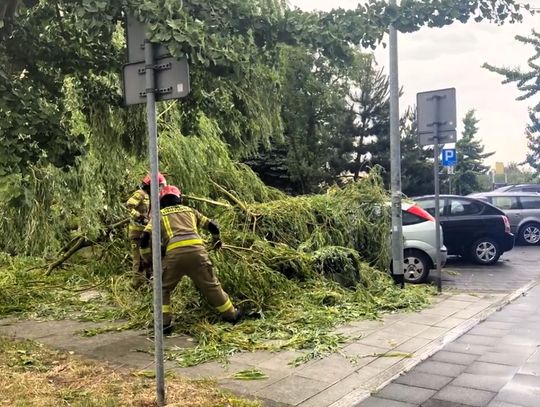 Połamane drzewa i nieprzejezdne drogi. Strażacy mieli sporo pracy