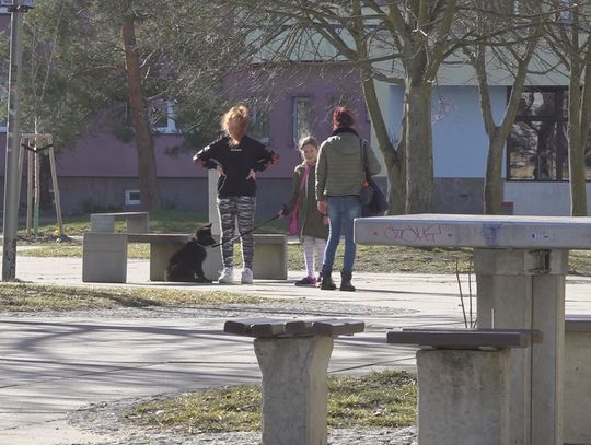 Policzanie o swych teściowych z okazji ich święta