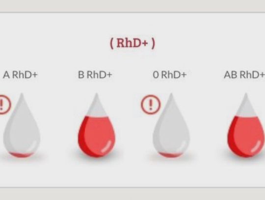 Potrzebna krew dla Regionalnego Centrum Krwiodawstwa i Krwiolecznictwa w Szczecinie