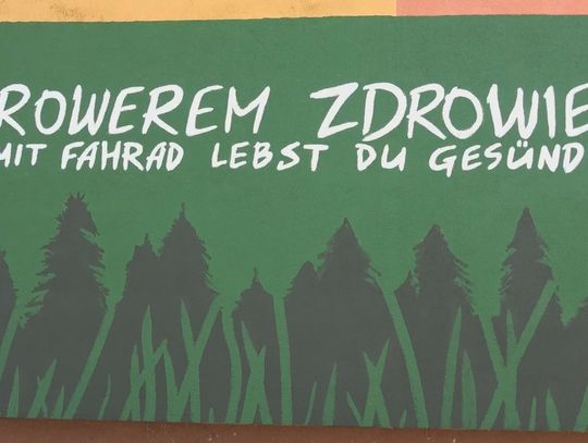 Rowerem zdrowiej