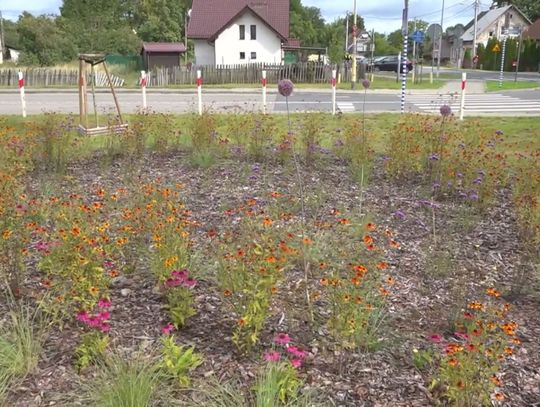 Sołectwa skutecznie pozyskują środki na realizację lokalnych marzeń