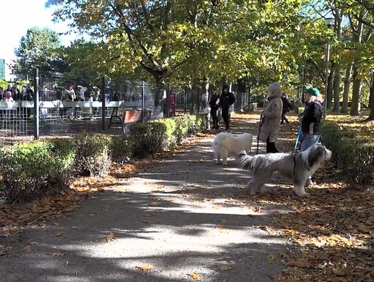 Sukces psiego festynu. Jest zapowiedź kolejnych edycji