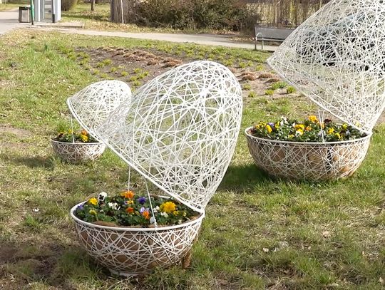 Świąteczne aranżacje w mieście