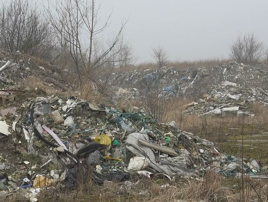 Teren po dawnej firmie Ecorama doczeka się rekultywacji