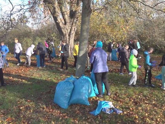 Uczniowie SP1 wzięli udział w corocznej akcji "Ratujmy kasztanowce"