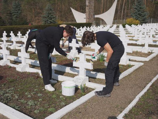 Uczniowie ze Szczecina porządkowali cmentarz w Starych Łysogórkach!