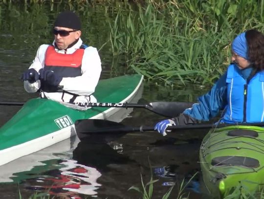 Uzbrojeni w wiosła ruszyli w pogoń za sprytnym, rudym lisem