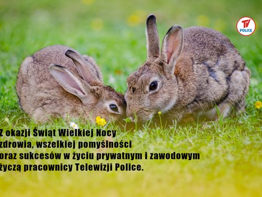 Wesołych Świąt Wielkanocnych