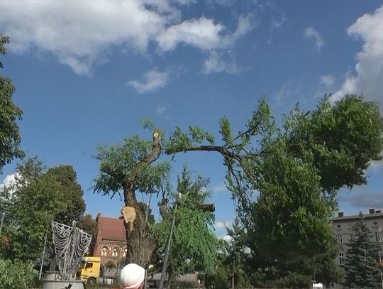 Więcej fotopułapek i wyższe mandaty za śmieci zostawione w lesie