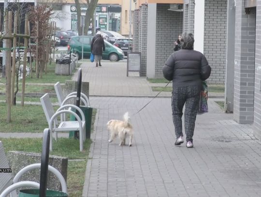 Zmiana przepisów regulujących zasady wyprowadzania psów i wysokości kar dla ich właścicieli