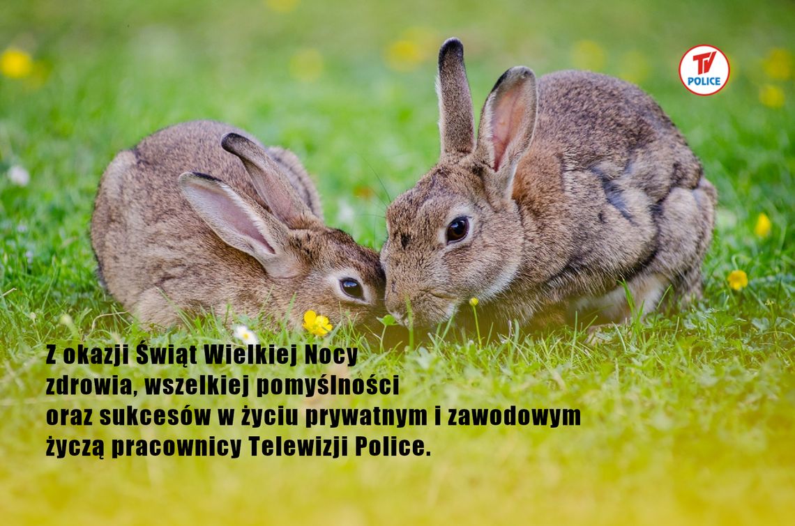 Wesołych Świąt Wielkanocnych