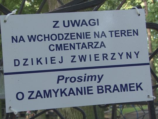 Druga sygnalizacja świetlna w mieście